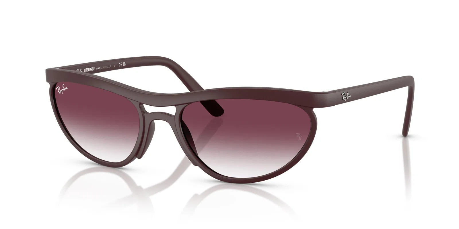 Ray-Ban 4453 Sunglasses - view 24